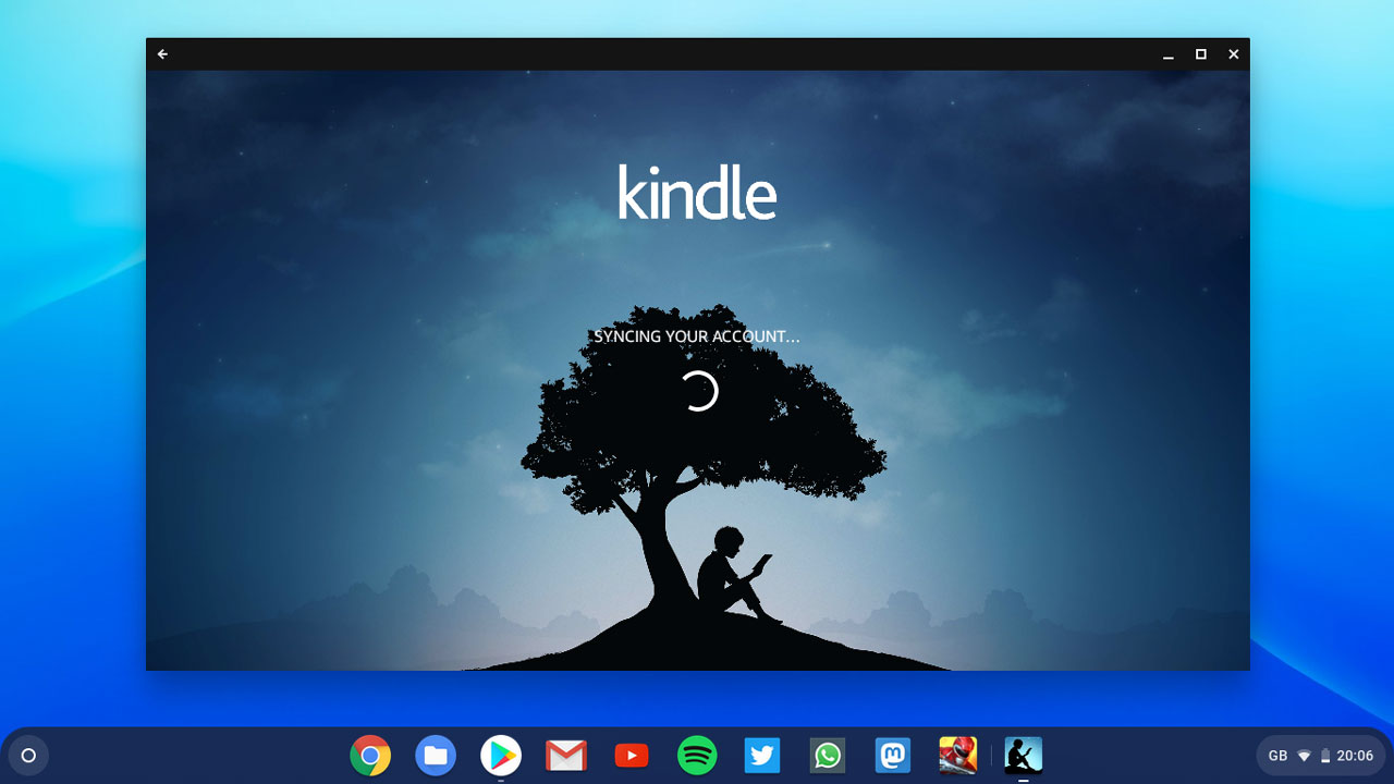 Kindle app for pandigital